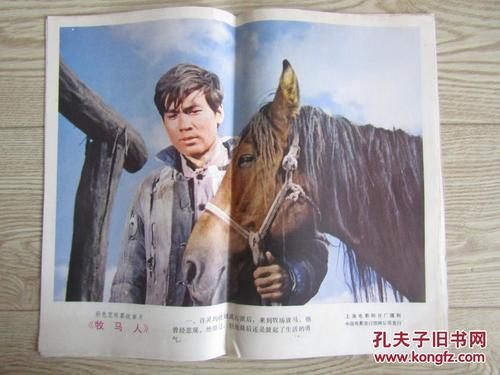 马斯特里赫特大学diploma购买